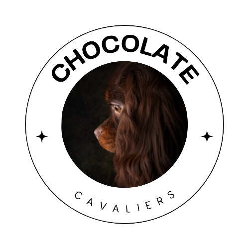 Chocolate Cavaliers UK